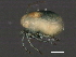  ( - CNC-IMS090046.020)  @15 [ ] CreativeCommons - Attribution (2010) Unspecified Centre for Biodiversity Genomics