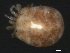  ( - CNC-IMS090048.001)  @11 [ ] CreativeCommons - Attribution (2010) Unspecified Centre for Biodiversity Genomics