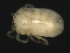  ( - CNC-IMS090048.006)  @11 [ ] CreativeCommons - Attribution (2010) Unspecified Centre for Biodiversity Genomics