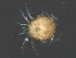  ( - CNC-IMS090050.014)  @14 [ ] CreativeCommons - Attribution (2010) Unspecified Centre for Biodiversity Genomics