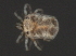  ( - CNC-IMS090054.008)  @12 [ ] CreativeCommons - Attribution (2010) Unspecified Centre for Biodiversity Genomics