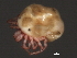  ( - CNC-IMS090055.019)  @12 [ ] CreativeCommons - Attribution (2010) Unspecified Centre for Biodiversity Genomics