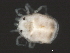  ( - CNC-IMS090055.023)  @11 [ ] CreativeCommons - Attribution (2010) Unspecified Centre for Biodiversity Genomics