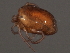  ( - CNC-IMS090056.035)  @14 [ ] CreativeCommons - Attribution (2010) Unspecified Centre for Biodiversity Genomics