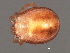  ( - CNC-IMS090056.039)  @14 [ ] CreativeCommons - Attribution (2010) Unspecified Centre for Biodiversity Genomics