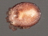  ( - CNC-IMS090056.041)  @14 [ ] CreativeCommons - Attribution (2010) Unspecified Centre for Biodiversity Genomics