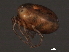  ( - CNC-IMS090062-018)  @12 [ ] CreativeCommons - Attribution (2010) Unspecified Centre for Biodiversity Genomics
