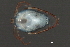  ( - CNC-IMS090034.024)  @11 [ ] CreativeCommons - Attribution (2010) Unspecified Centre for Biodiversity Genomics