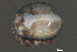  ( - CNC-IMS090034.027)  @11 [ ] CreativeCommons - Attribution (2010) Unspecified Centre for Biodiversity Genomics