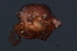  ( - CNC-IMS090035.031)  @11 [ ] CreativeCommons - Attribution (2010) Unspecified Centre for Biodiversity Genomics