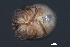  ( - CNC-IMS090035.046)  @13 [ ] CreativeCommons - Attribution (2010) Unspecified Centre for Biodiversity Genomics