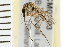  ( - ACT-CM01-03)  @13 [ ] CreativeCommons - Attribution (2009) Unspecified Centre for Biodiversity Genomics