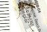  ( - ACT-CM08-04)  @13 [ ] CreativeCommons - Attribution (2009) Unspecified Centre for Biodiversity Genomics