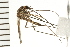  ( - ACT-CM15-01)  @13 [ ] CreativeCommons - Attribution (2009) Unspecified Centre for Biodiversity Genomics