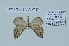  ( - BC-MNHN0712)  @11 [ ] Copyright (2020) Rodolphe Rougerie Museum national d'Histoire naturelle