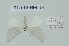  ( - BC-MNHN0716)  @11 [ ] Copyright (2020) Rodolphe Rougerie Museum national d'Histoire naturelle