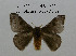  ( - CO1-AM5)  @11 [ ] By-SA Creative Common (2020) Frederic Beneluz Research collection of Frederic Beneluz