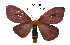  ( - CO1-AM9)  @13 [ ] By-SA Creative Common (2020) Frederic Beneluz Research collection of Frederic Beneluz