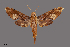  ( - NHRS-TOBI000003362)  @11 [ ] CreativeCommons - Attribution (2018) Swedish Museum of Natural History Swedish Museum of Natural History