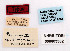  ( - NHRS-TOBI000003362)  @11 [ ] CreativeCommons - Attribution (2018) Swedish Museum of Natural History Swedish Museum of Natural History