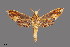  ( - NHRS-TOBI000003362)  @11 [ ] CreativeCommons - Attribution (2018) Swedish Museum of Natural History Swedish Museum of Natural History