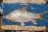  ( - NHPC-22430)  @11 [ ] by-nc-sa (2025) Herve Tjomb Universite de Ngaoundere