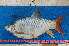  ( - NHPC-KI4607)  @11 [ ] by-nc-sa (2025) Herve Tjomb Universite de Ngaoundere