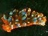  ( - EFBSD06)  @11 [ ] CreativeCommons - Attribution Non-Commercial No Derivatives (2014) J. Toms Stellenbosch University