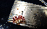  (Flabellina funeka - HERFF07)  @11 [ ] CreativeCommons - Attribution Non-Commercial No Derivatives (2015) Jessica Toms Stellenbosch University