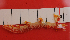  ( - NATBV02)  @11 [ ] CreativeCommons - Attribution Non-Commercial No Derivatives (2015) Valda Fraser Stellenbosch University