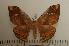  ( - BC-Basq1079)  @13 [ ] Copyright (2010) Unspecified Research Collection of Patrick Basquin