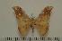 ( - BC-Basq1090)  @13 [ ] Copyright (2010) Unspecified Research Collection of Patrick Basquin