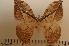  ( - BC-Basq1099)  @13 [ ] Copyright (2010) Unspecified Research Collection of Patrick Basquin
