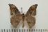  ( - BC-Basq1230)  @14 [ ] Copyright (2010) Unspecified Research Collection of Patrick Basquin