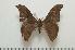  ( - BC-Basq1282)  @14 [ ] Copyright (2010) Unspecified Research Collection of Patrick Basquin