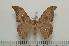  ( - BC-Basq1283)  @13 [ ] Copyright (2010) Unspecified Research Collection of Patrick Basquin