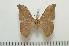  ( - BC-Basq1293)  @13 [ ] Copyright (2010) Unspecified Research Collection of Patrick Basquin