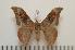  ( - BC-Basq1361)  @14 [ ] Copyright (2010) Unspecified Research Collection of Patrick Basquin