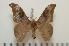  ( - BC-Basq1364)  @14 [ ] Copyright (2010) Unspecified Research Collection of Patrick Basquin