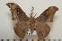  ( - BC-Basq1365)  @14 [ ] Copyright (2010) Unspecified Research Collection of Patrick Basquin