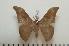  ( - BC-Basq1367)  @14 [ ] Copyright (2010) Unspecified Research Collection of Patrick Basquin
