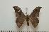  ( - BC-Basq1383)  @13 [ ] Copyright (2010) Unspecified Research Collection of Patrick Basquin