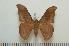  ( - BC-Basq1390)  @13 [ ] Copyright (2010) Unspecified Research Collection of Patrick Basquin