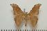  ( - BC-Basq1399)  @13 [ ] Copyright (2010) Unspecified Research Collection of Patrick Basquin
