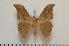  ( - BC-Basq1403)  @14 [ ] Copyright (2010) Unspecified Research Collection of Patrick Basquin
