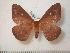  ( - BC-Basq0812)  @14 [ ] Copyright (2010) Unspecified Research Collection of Patrick Basquin