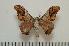  ( - BC-Basq0911)  @14 [ ] Copyright (2010) Unspecified Research Collection of Patrick Basquin