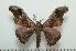  ( - BC-Basq0927)  @14 [ ] Copyright (2010) Unspecified Research Collection of Patrick Basquin