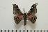  ( - BC-Basq0939)  @12 [ ] Copyright (2010) Unspecified Research Collection of Patrick Basquin
