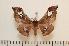  ( - BC-Basq0994)  @14 [ ] Copyright (2010) Unspecified Research Collection of Patrick Basquin